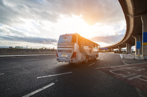Buses